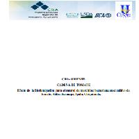 Efecto de la Biofumigación para el control de marchitez bacteriana en el cultivo de tomate, Aldea Jicamapa, Ipala, Chiquimula