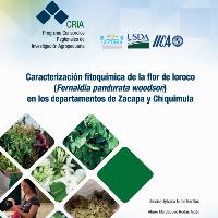 Caracterización fitoquímica de la flor de loroco (Fernaldia pandurata woodson) en los departamentos de Zacapa y Chiquimula
