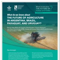 Part Three: What do we know about the future of agriculture in Argentina, Brazil, Paraguay, and Uruguay? 
