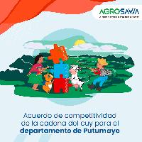 Acuerdo de competitividad de la cadena del cuy para el departamento de Putumayo