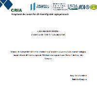 Manejo de la marchitez del chile cahabonero (Capsicum sp.) a través de control biológico inoculativo de diferentes cepas de Trichoderma spp en Santa María Cahabón, Alta Verapaz.