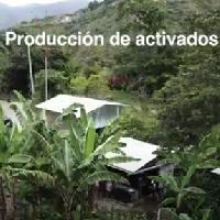 Producción de bioinsumos activados con microorganismos de montaña