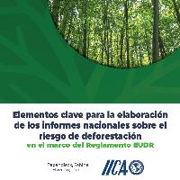 Elementos clave para la elaboración de los informes nacionales sobre el riesgo de deforestación en el marco del Reglamento EUDR