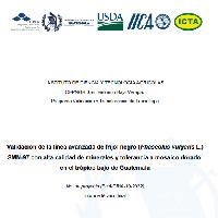 Validación de la línea avanzada de frijol negro (Phaseolus vulgaris L.) SMN-97 con alta calidad de minerales y tolerancia a mosaico dorado, en el trópico bajo de Guatemala