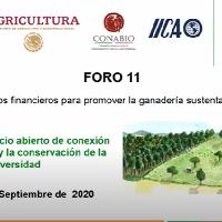 Foro 11: Mecanismos financieros para promover la ganadería sustentable