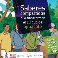Saberes compartidos que transforman el cultivo de aguacate: escuelas de Campo, motor de innovación y cocreación en Tolima