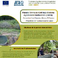 Parcela Vitrina de Café bajo Sistema Agroforestal Multiestrato (SAFM). Comunidad Los Calpules