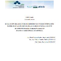 Evaluación del efecto de fitohormonas y otros compuestos químicos en la incidencia de la floración en el cultivo de loroco (Fernaldia Pandurata Woodson), en Zacapa y Chiquimula, Guatemala
