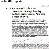 Patterns of shade plant diversity in four agroforestry systems across Central America: a meta‑analysis