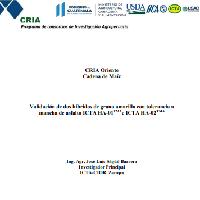 Validación de dos híbridos de grano amarillo con tolerancia a mancha de asfalto ICTA HA-01 TMA e ICTA HA-02 TMA