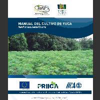 Manual del cultivo de yuca (Manihot esculenta Crantz) 