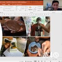 Socialización del PMI de cacao y chile cahabonero, Región Norte / IICA-CRIA