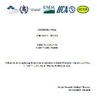 Validación de arreglos topológicos en la variedad de frijol (Phaseolus vulgaris L.) ICTA Chortí ACM, en la región Huista, Huehuetenango