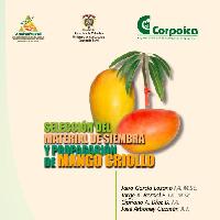 Selección del material de siembra y propagación de mango criollo-