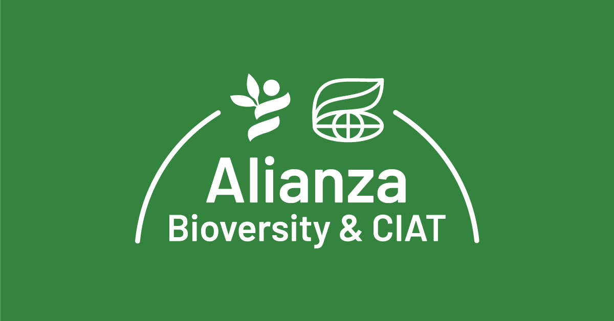 Alianza Bioversity & CIAT