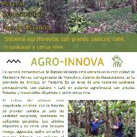 Sistema agroforestal con granos básicos, café, musáceas y cerca viva, Comunidad Montelirio Arriba.