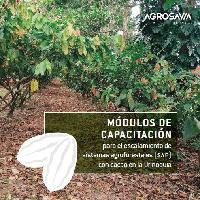 Módulos de capacitación para el escalamiento de sistemas agroforestales (SAF) con cacao en la Orinoquía