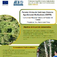 Parcela Vitrina de Café bajo Sistema Agroforestal Multiestrato (SAFM).Comunidad Mata de Plátano, El Paraíso, El Paraíso