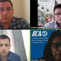 Socialización del PMI de maíz y frijol, Región Oriente / IICA-CRIA