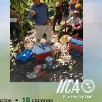 Socialización PMI Aguacate, Región Occidente / IICA-CRIA