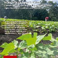 Ficha técnica agroclimática: herramienta de apoyo para la gestión del riesgo agroclimático en cultivos ecuatoriales