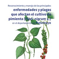 Reconocimiento y manejo de las principales enfermedades y plagas que afectan el cultivo de pimienta (Piper nigrum L.) en el departamento del Putumayo