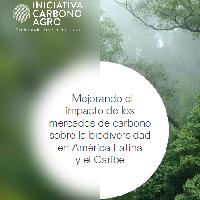 Mejorando el impacto de los mercados de carbono sobre la biodiversidad en América Latina y el Caribe