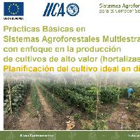 Prácticas Básicas en Sistemas Agroforestales Multiestrato con enfoque en la producción de cultivos de alto valor (hortalizas). Planificación del cultivo ideal en días