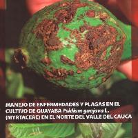 Manejo de enfermedades y plagas en el cultivo de guayaba Psidium guajava L. (Myrtaceae) en el norte del Valle del Cauca-
