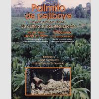 Suelos y fertilización del pejibaye