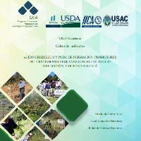 Ácido giberélico y poda de formación: promotores del crecimiento vegetativo en el cultivo de melocotón y variedad Salcajá