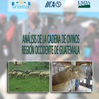 Análisis de la cadena de ovinos. Región Occidente de Guatemala