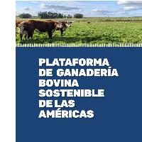 Plataforma de ganadería bovina sostenible de las Américas