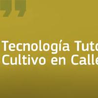 Tecnología tutores vivos y cultivo en callejones