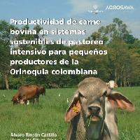 Productividad de carne bovina en sistemas sostenibles de pastoreo intensivo para pequeños productores de la Orinoquia colombiana