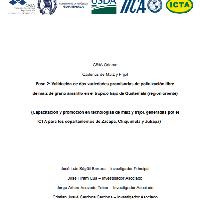 Fase 2: Validación de dos variedades promisorias de polinización libre de maíz de grano amarillo en el trópico bajo de Guatemala (región oriente) (Capacitación y promoción en tecnologías de maíz y frijol, generadas por el ICTA para los departamentos de Zacapa, Chiquimula y Jutiapa)