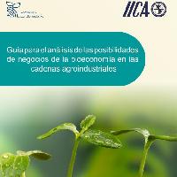 Guía para el análisis de las posibilidades de negocios de la bioeconomía en las cadenas agroindustriales