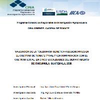 Validación de la tolerancia genética a begomovirus en el cultivar de tomate Tyral f1 en comparación con el cultivar local, en cinco localidades del departamento de Chiquimula, Guatemala, 2020