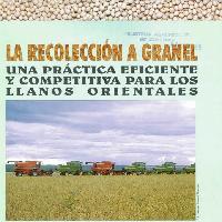 La recolección a granel: una práctica eficiente y competitiva para los Llanos Orientales-