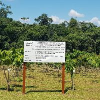 Estación Experimental Agraria San Roque