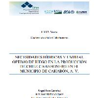Necesidades hídricas y umbral óptimo de riego en la producción de chile cahabonero en el municipio de Cahabón, A. V.