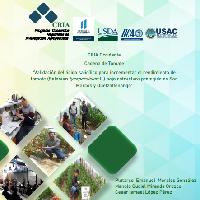 Validación del ácido salicílico para incrementar el rendimiento de tomate (Solanum lycopersicum L.) bajo estructura protegida en San Marcos y Quetzaltenango