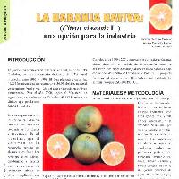 La naranja nativa 13.-