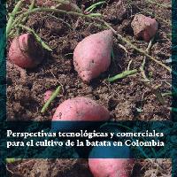 Perspectivas tecnológicas y comerciales para el cultivo de la batata en Colombia-
