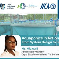 AQUAPONICS IN ACTION From System Design to Successful Operation