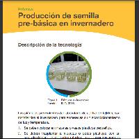 Práctica: Producción de semilla pre-básica en invernadero