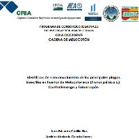 Identificación y reconocimiento de las principales plagas insectiles en huertos de Melocotoneros (Prunus pérsica L.), Quetzaltenango y Totonicapán
