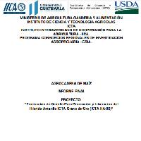 Informe final del proyecto PCOL-04-2022. Producción de Semilla Para Promoción y Liberación del Híbrido Amarillo ICTA Grano de Oro (ICTA HA-02)