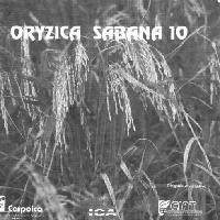 Oryzica sabana 10:  Nueva alternativa para obtener praderas mejoradas en los sitemas de producción agropastoriles