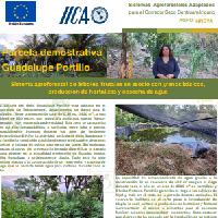 Sistema agroforestal de árboles frutales en asocio con granos básicos, producción de hortalizas y cosecha de agua, Municipio Texistepeque, departamento de Santa Ana